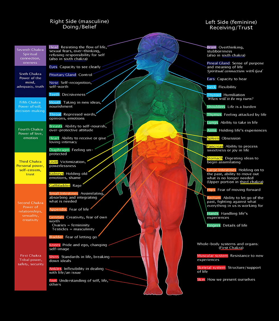 The Mind / Body Connection
