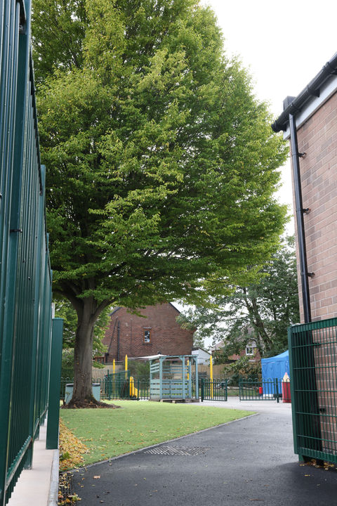 Nursery playground with a large tree and outdoor play equipment