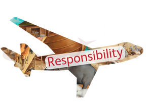 Airplane outline filled with Noah's Ark scene, 'Responsibility'