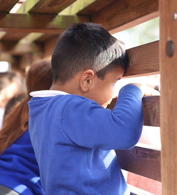 School Term Dates Hateley Heath Academ notre-dame-school-term-dates-2024-25