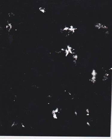 Scan 2.jpeg