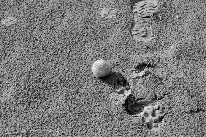 Screenshot 2022-11-09 at 12.19.06.png