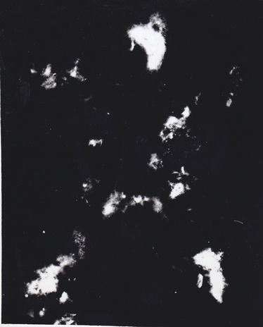 Scan.jpeg
