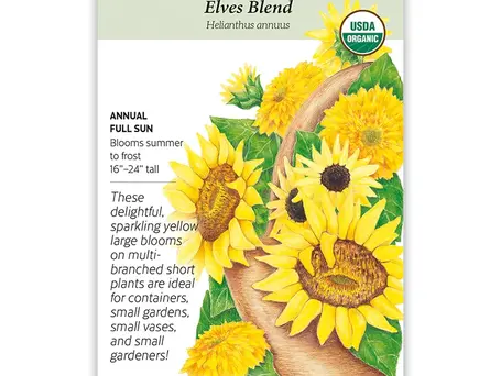 Gift ideas for Indiana gardeners, first-time homeowners and others