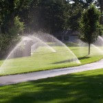 Watering Ban picture