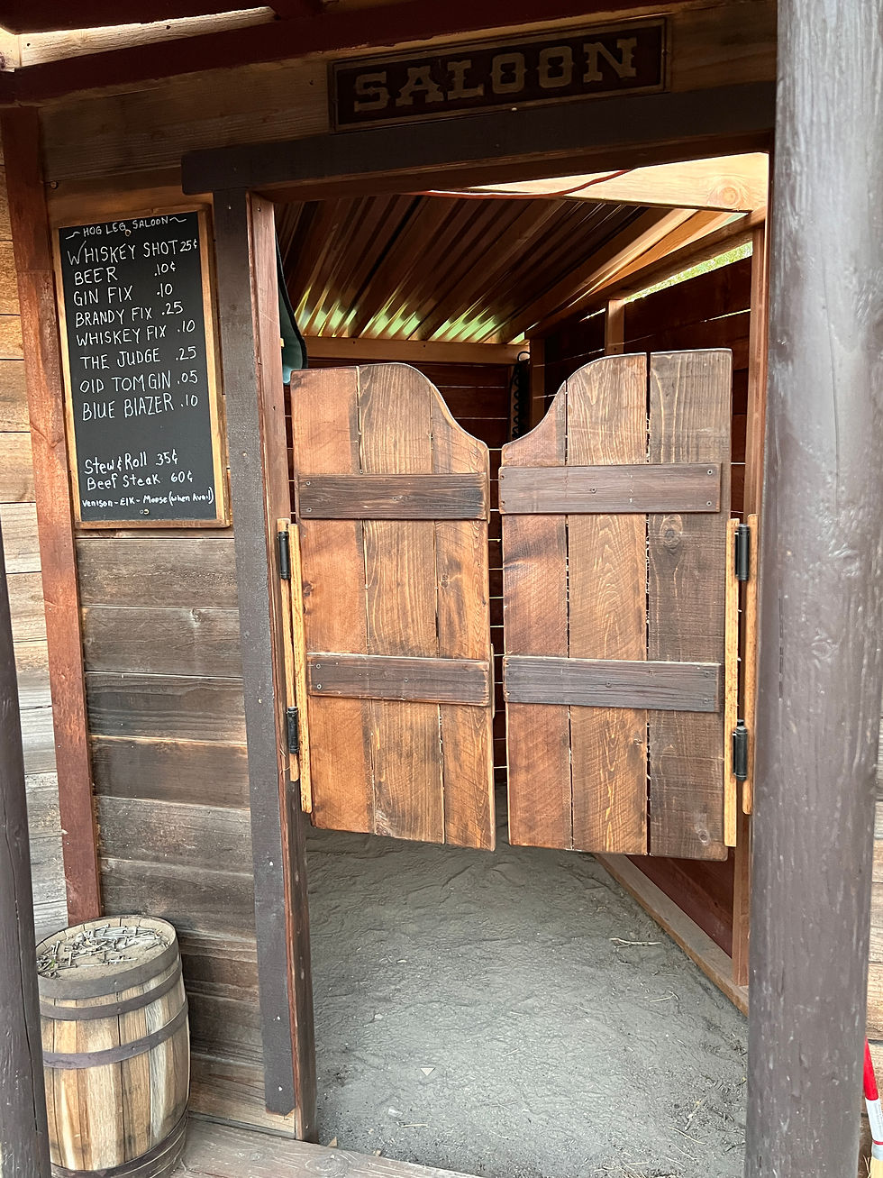 Saloon Doors