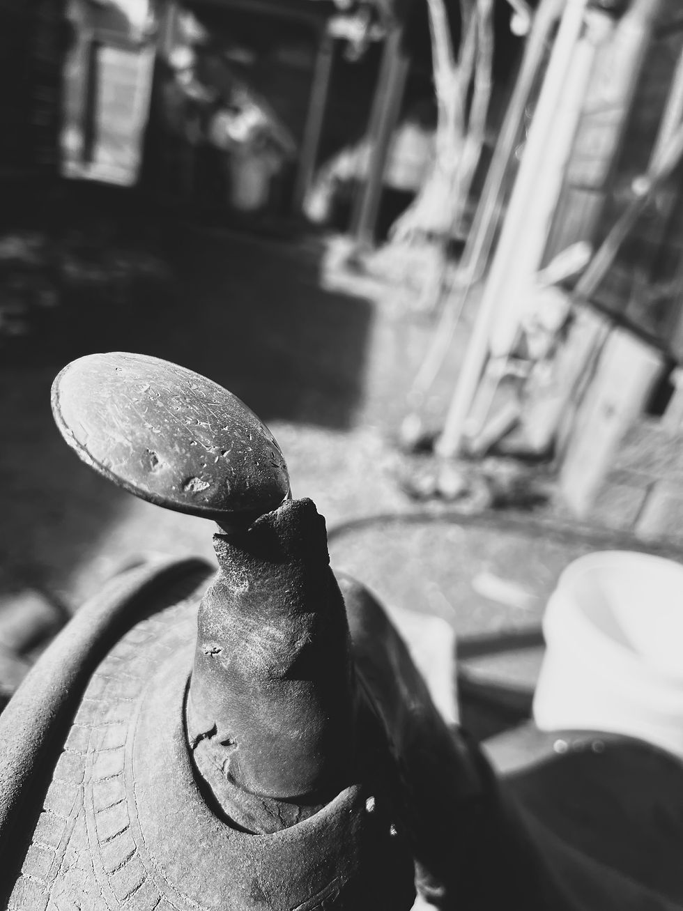 Saddle