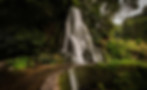 Full-Day Van Tour to Nordeste. Explore the beautiful east side of Sã o Miguel Island.