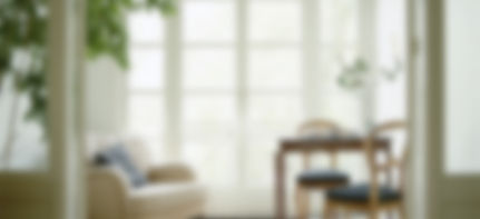 Blurred Living Room 2