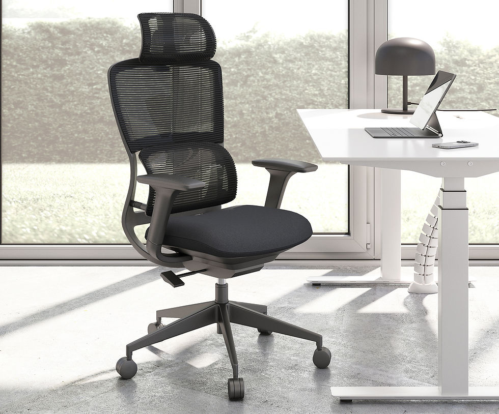 Miniatura: Silla OFFIHO DILLON | OHE-35