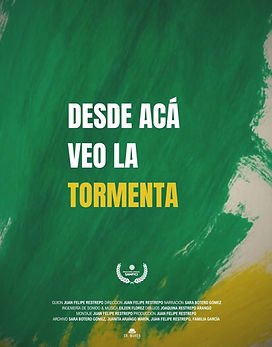 385-poster_desde acá veo la tormenta.jpg