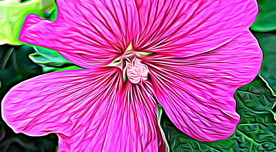 Pink Flowers Of Diamond Essence Birthday Edition Artwork