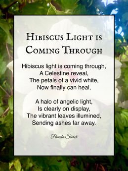 Hibiscus Light is Coming Through Poem