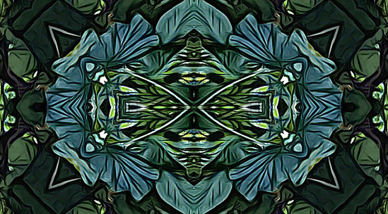 Witch Hazel Essence Artwork