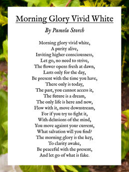 Morning Glory Vivid White Poem