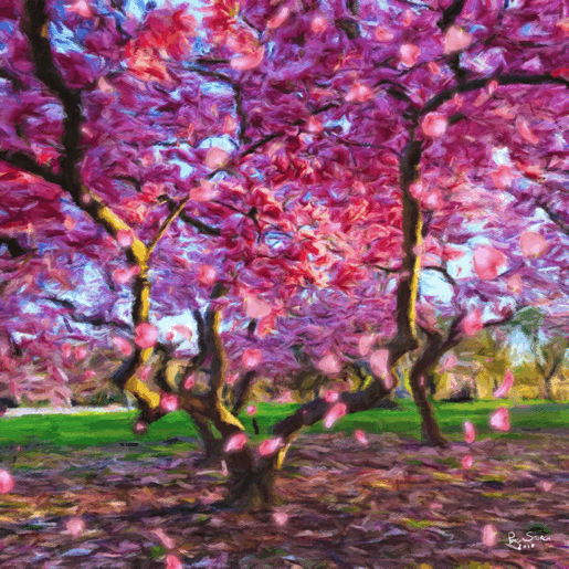 Dance Of The Cherry Tree Blossoms