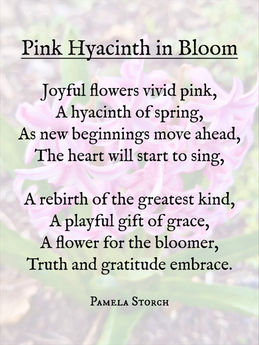 Pink Hyacinth in Bloom Poem