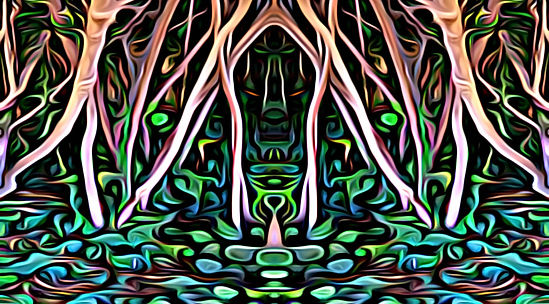 Forest Princess Artwork