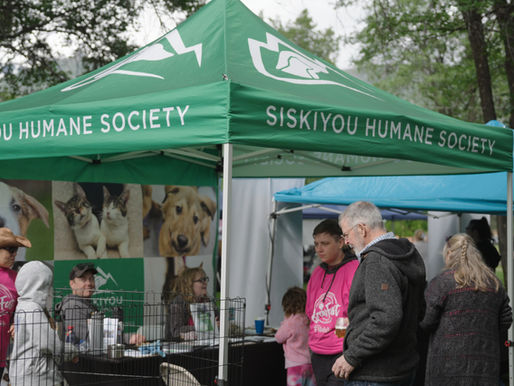 Siskiyou Humane Society booth at Shasta Mountain Art, Wine & Brew Fest