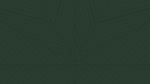 Fundo.png