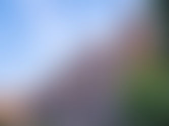 Guide: 10 things that could increase the value of your property