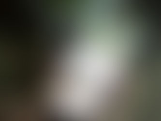 12 online puzzles like Wordle to give your brain a workout in 5 minutes