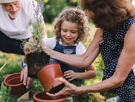 3 useful options you may want to consider when passing on assets to your loved ones