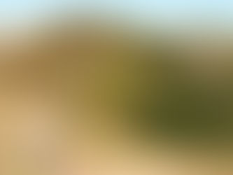 5 excuses for not seeking financial advice, and why they’re wrong