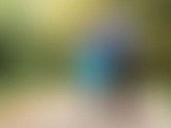 Climbing annuity rates could boost your retirement income