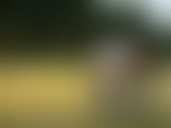 Have you prepared emotionally for retirement?