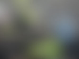 Guide: 10 ways to make the most of your garden in 2021