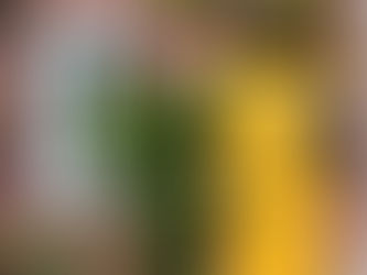 10 steps that can help you secure a mortgage for your dream home