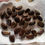 Thumbnail: 50 Stratified Pawpaw Seeds