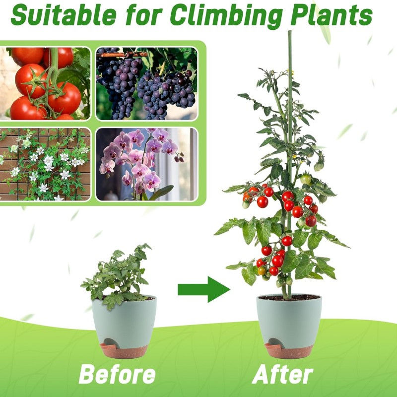 Thumbnail: Bamboo Sticks for Indoor Outdoor Plants
