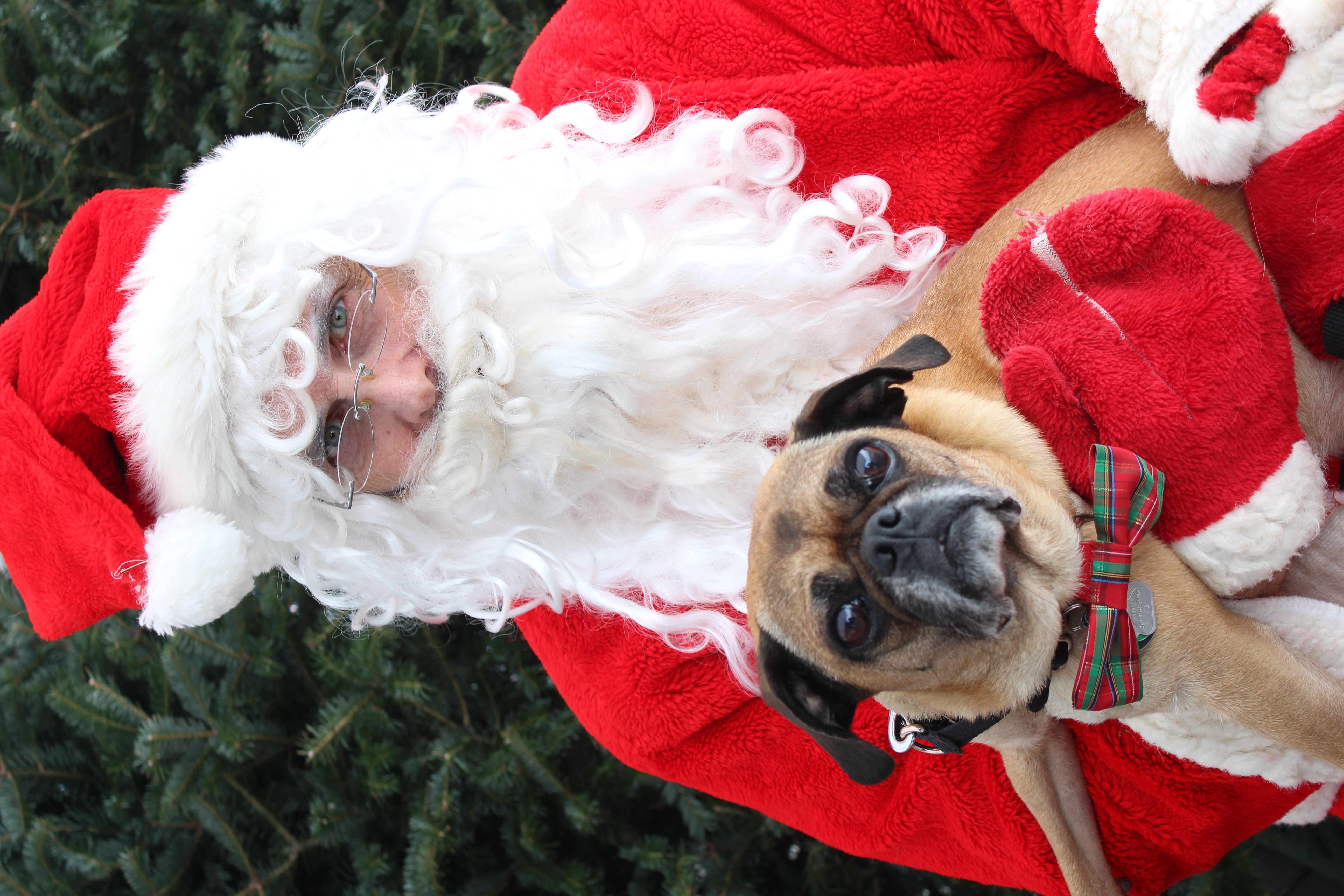 Dec. 10 Santa Photos Canadian Pet Co