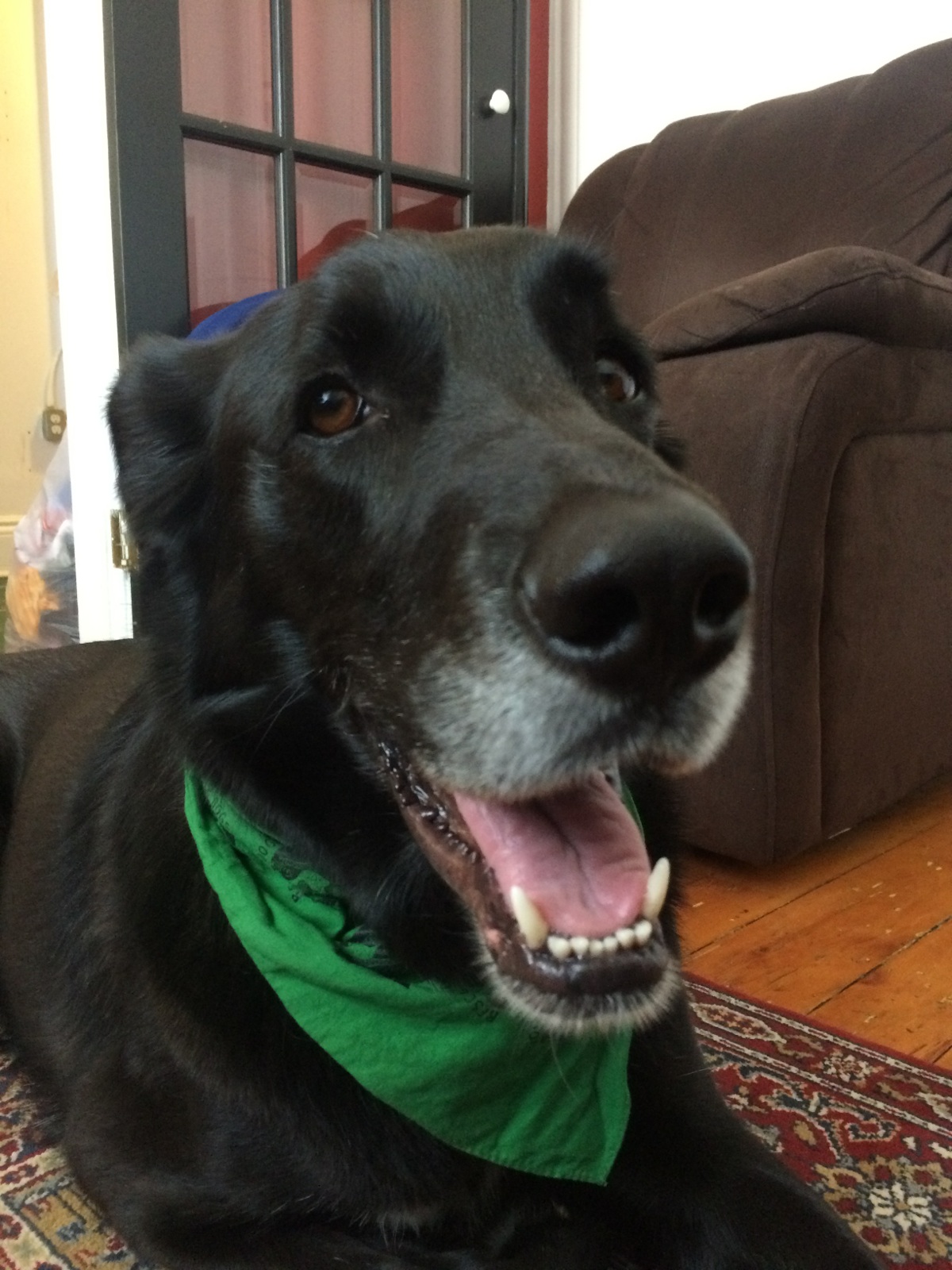 Tucker