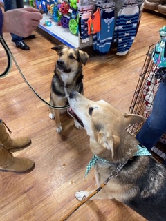 Ren's Pet Depot