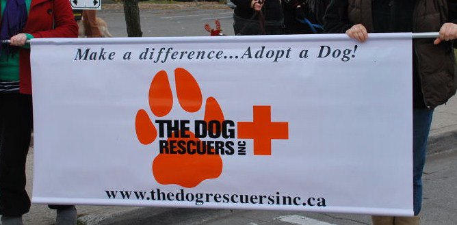 Santa Claus Parade - Dec 2010