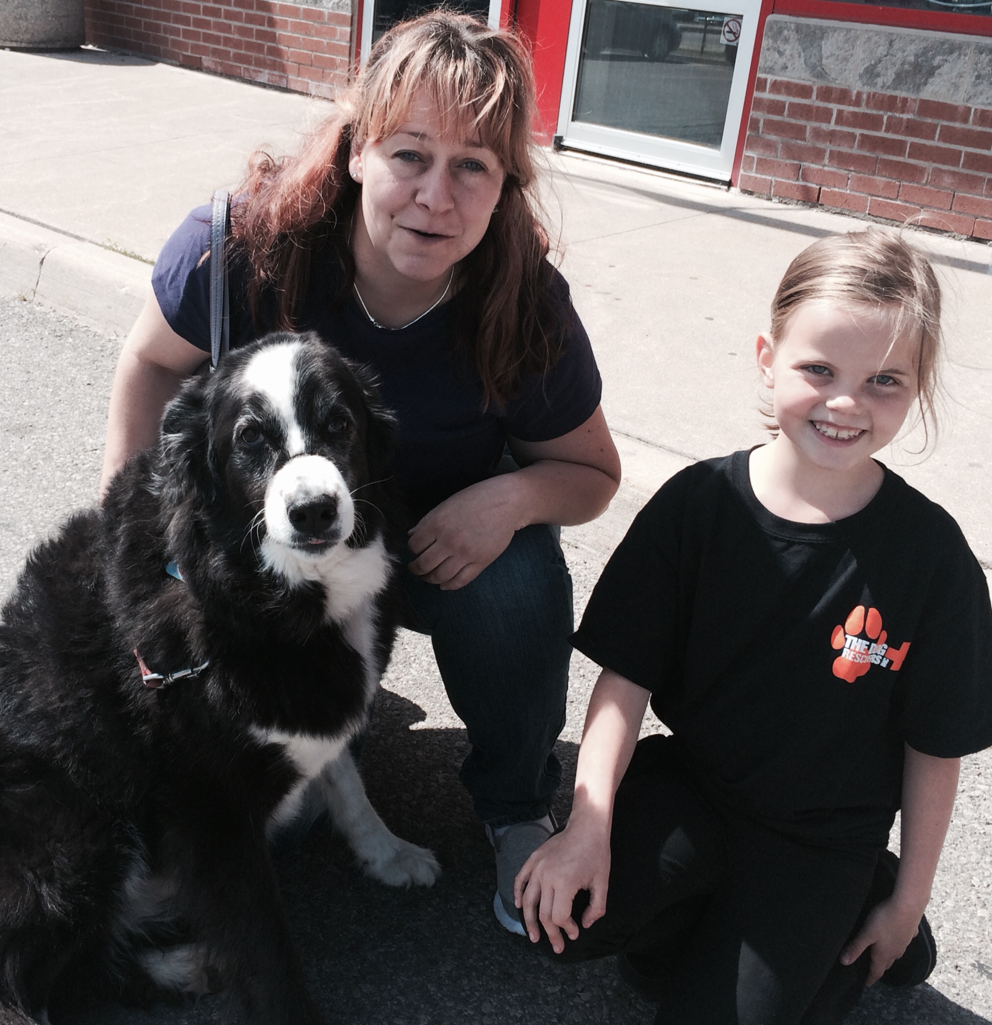 Doggie Detailing - June 2015
