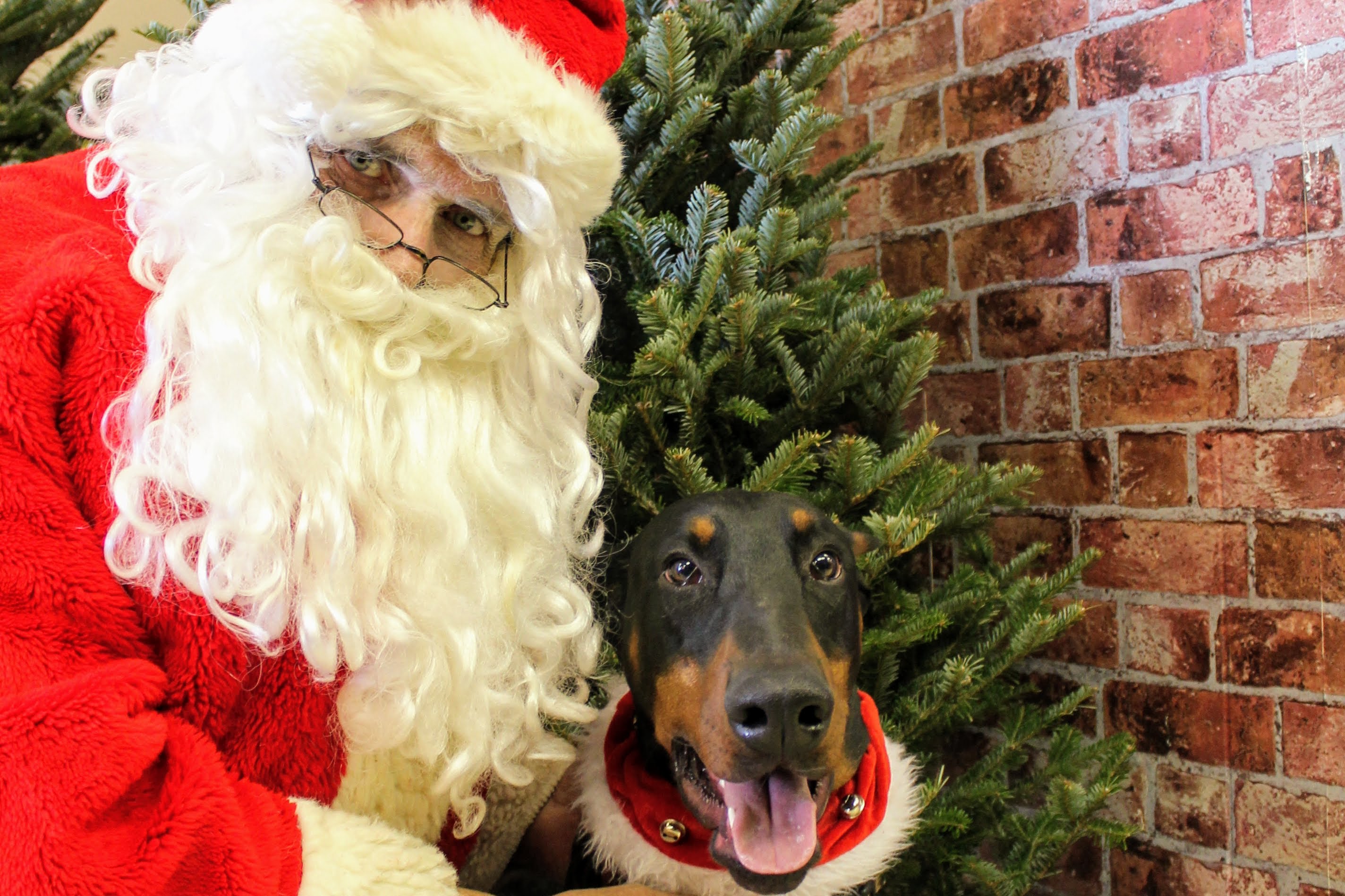 Santa Pics Dec 2017