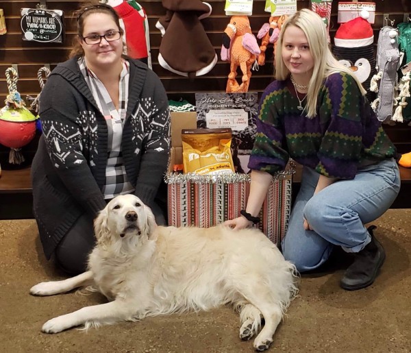 Bark & Fitz, Lakeshore, Oakville
