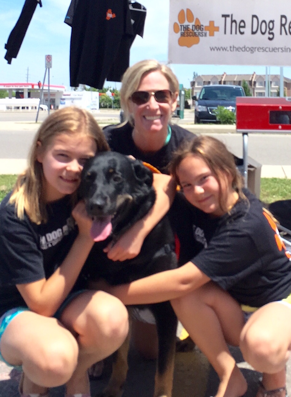 Doggie Detailing - June 2015