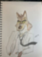 Mr Wolf