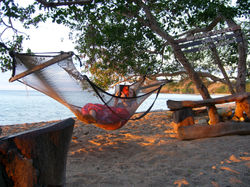 Join the Hammock Society