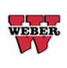 Brighton High School Football