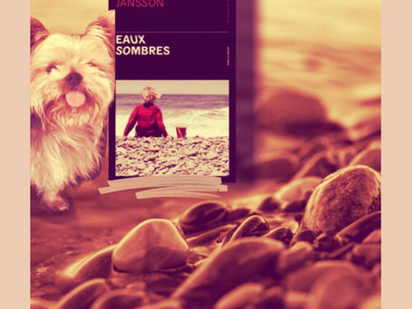 Eaux sombres de Suzanne Jansson