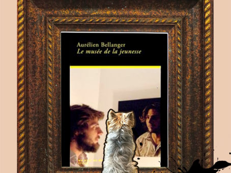 Le musée de la jeunesse d’Aurélien Bellanger