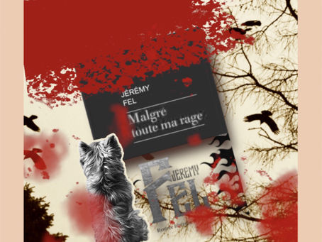 Malgré toute ma rage de Jeremy Fel