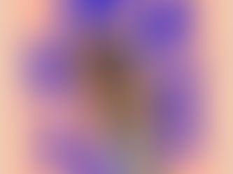 Célestine de Sophie Wouters