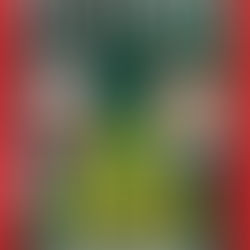 THE BATTLE FOR PUNJAB